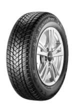165/65R14 79T Gt radial WINTERPRO2