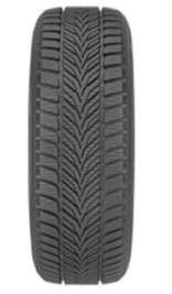 205/55R16 91H Diplomat DIPLOMAT WINTER HP