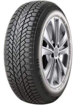 195/65R15 91H Giti WINTER W1