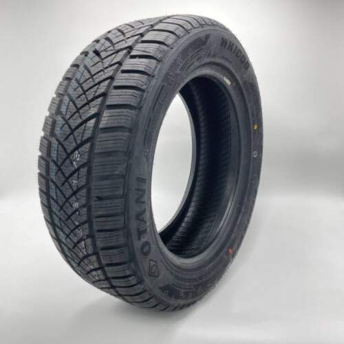 215/45R17 91V Otani WK1000