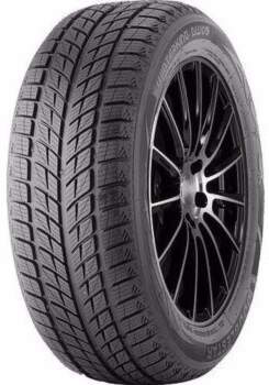 275/40R20 106V Doublestar WINTERKING DW09