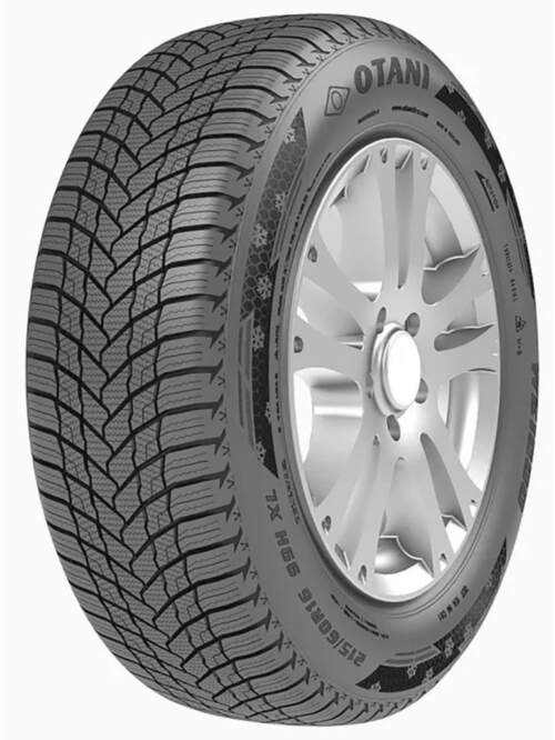 195/65R15 91T Otani WE1000