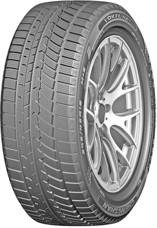 205/50R17 93V Fortune FSR901 XL