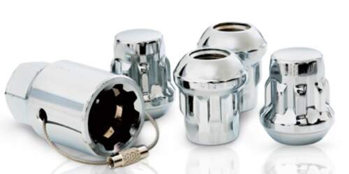 Bezpečnostné matice LIVE STANDARD