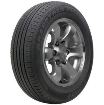 225/60R18 100H GrandTrek PT30 DEMO DUNLOP