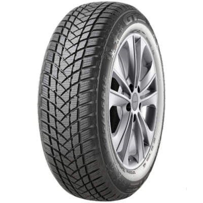195/60R16 89H Gt radial WINTERPRO2